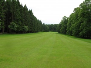 The long Avenue of trees which mark the 11th at Camperdown