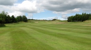 Approach to 1st at Wee Braids