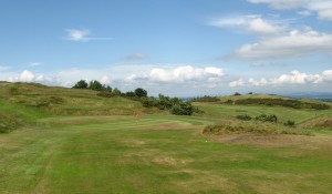5th approach at Wee Braids