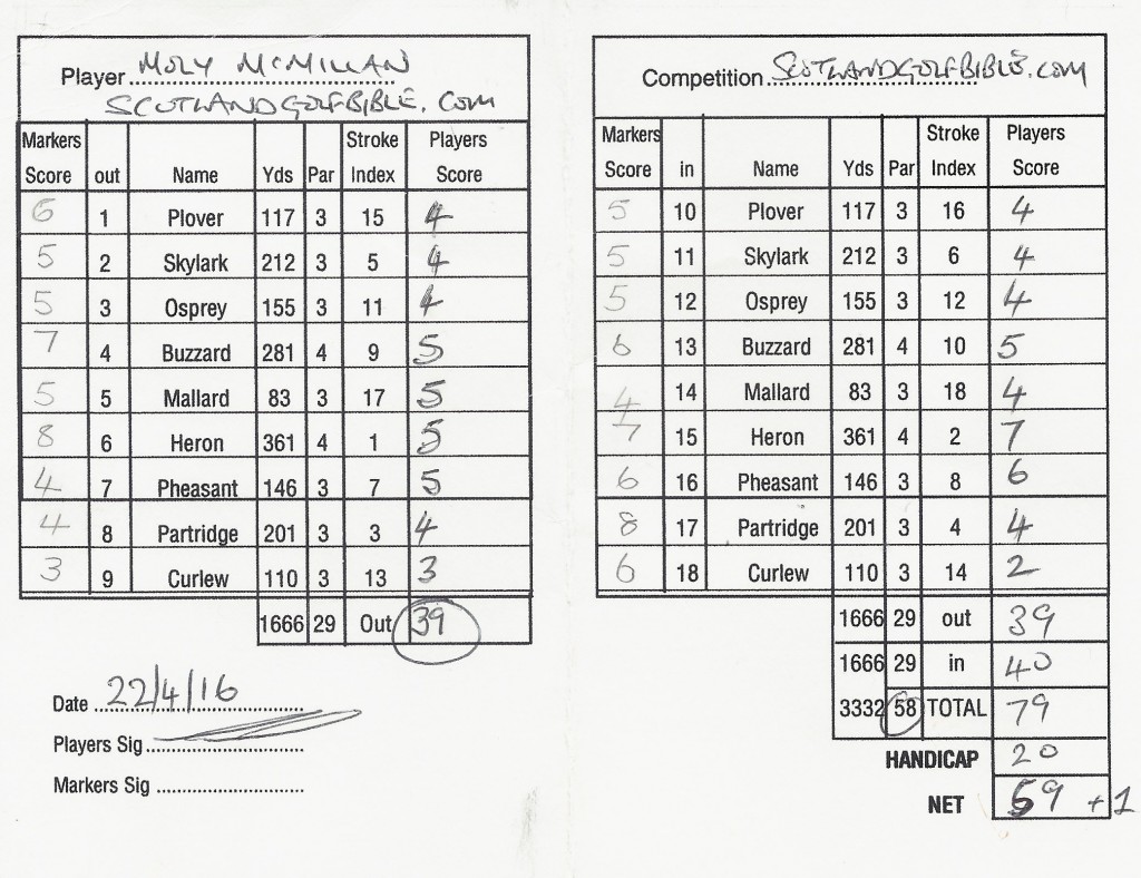 Strathmore Leitfie Links Scorecard - 39